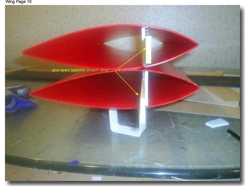 wing10 (37K)
